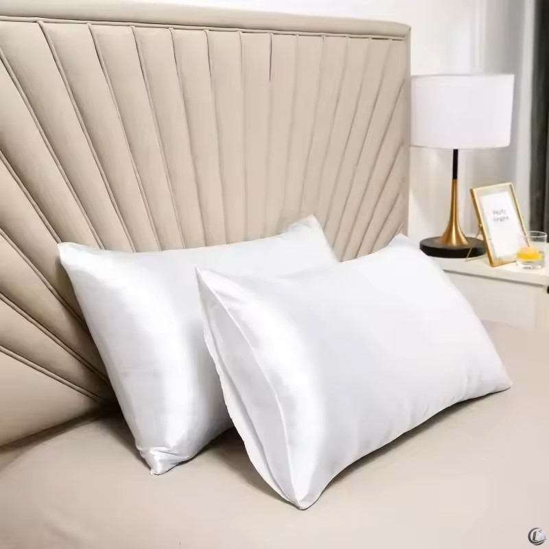 Taie d'oreiller 100% soie de m - Silk Pillowcase Set avis et prix